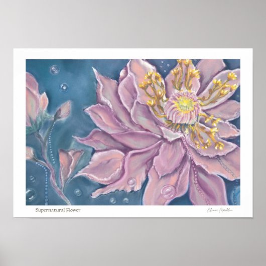Supernatural Flower ポスター (正面)