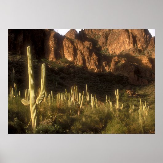 Superstition Mountain ポスター (正面)