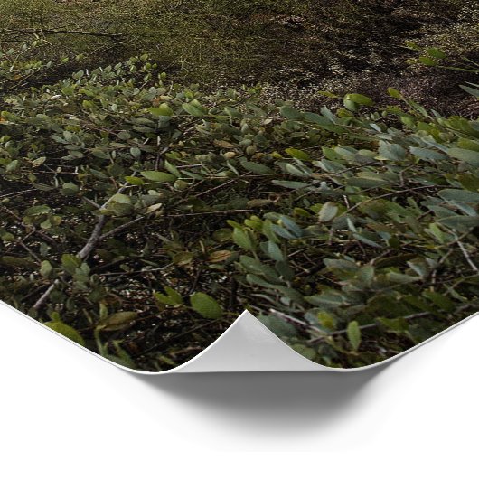 Superstition Mountain poster ポスター (角)