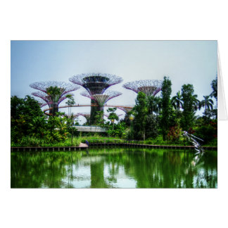 Supertreesおよびトンボ湖