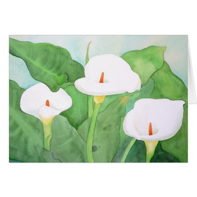 Sur大きいCalaLilliesカード (正面横)