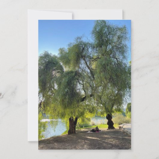Sur les rives du Guadalquivir (正面)