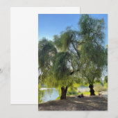 Sur les rives du Guadalquivir (正面/裏面)