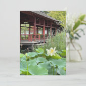 Sur l'île (スタンド正面)