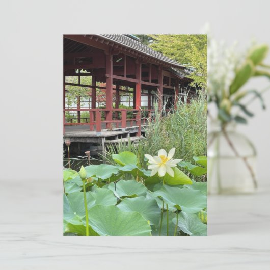 Sur l'île (スタンド正面)