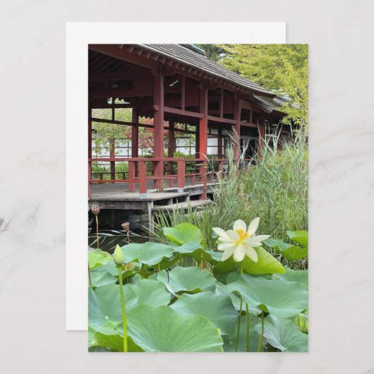 Sur l'île (正面/裏面)