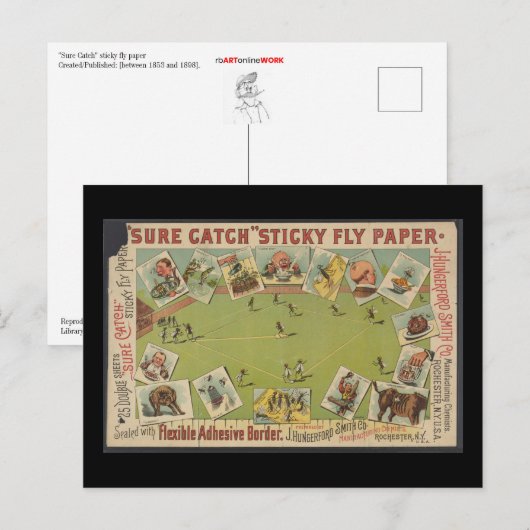 "Sure Catch" Sticky Fly紙 ポストカード (正面/裏面)