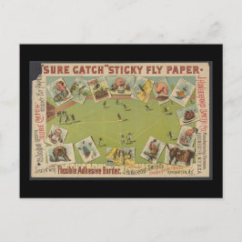 "Sure Catch" Sticky Fly紙 ポストカード