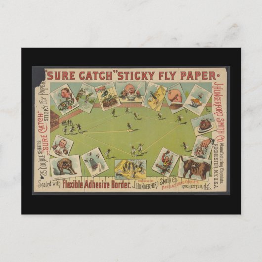 "Sure Catch" Sticky Fly紙 ポストカード (正面)
