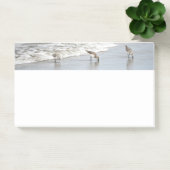 Surf 10x6ノートのビーチ鳥 ポストイット (オフィス)