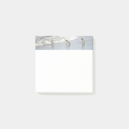 Surf 3x3注記のビーチ鳥 ポストイット