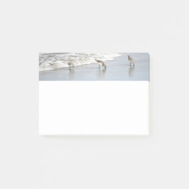 Surf 4x6ノートのビーチの鳥 ポストイット