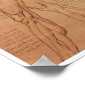 Surface Anatomy of the Lower Extremity, Da Vinci ポスター (角)