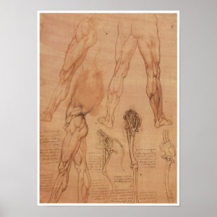Surface Anatomy of the Lower Extremity, Da Vinci ポスター