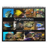 Surgeonfishes Wall Calendar by J.W. Fathree. カレンダー (カバー)