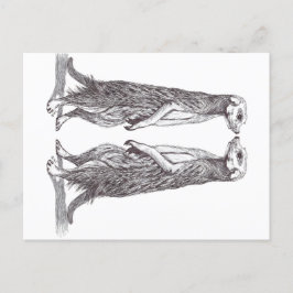 SURICATA LOVE. MEERKAT LOVE. シーズンポストカード