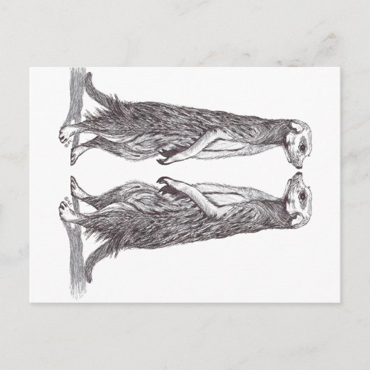 SURICATA LOVE. MEERKAT LOVE. シーズンポストカード (正面)