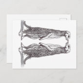 SURICATA LOVE. MEERKAT LOVE. ポストカード (正面/裏面)