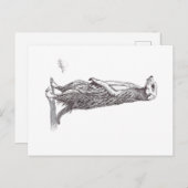 SURICATA. MEERKAT シーズンポストカード (正面/裏面)