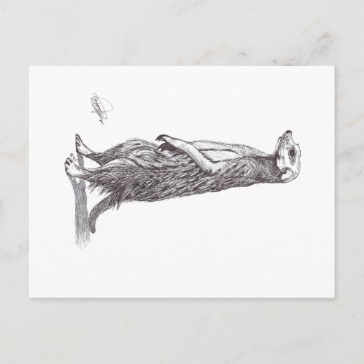 SURICATA. MEERKAT シーズンポストカード (正面)