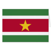 Suriname Flag (正面横)