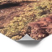 Surreal Desert House with Underwater Reef ポスター (角)