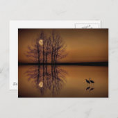 Surrealisimポストカード ポストカード (正面/裏面)