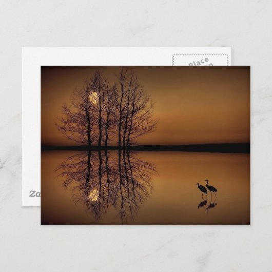 Surrealisimポストカード ポストカード (正面/裏面)