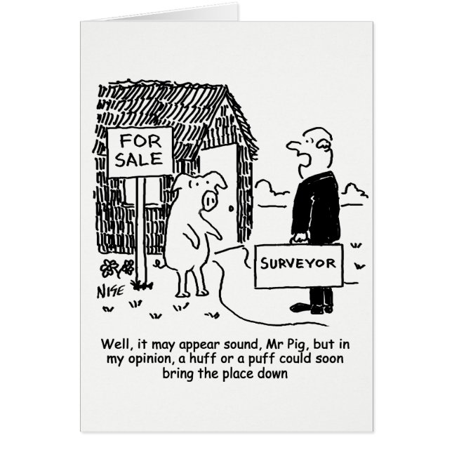 Surveyor 与え Pigプロパティの評価 (正面)