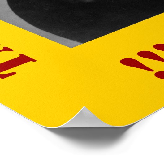 Susan B Anthonyは私たちを思い出させる ポスター (角)