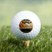 Sushi Lineup – Classic Wooden Golf Ball ゴルフボール (インサイチュ 木)