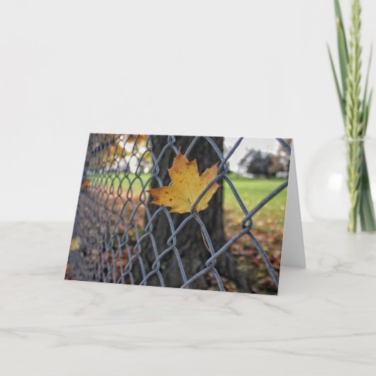 Suspended in Timeオリジナルカー空白のド カード (正面)