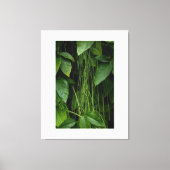 Suspended Nature キャンバスプリント (正面)