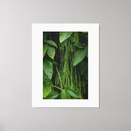 Suspended Nature キャンバスプリント