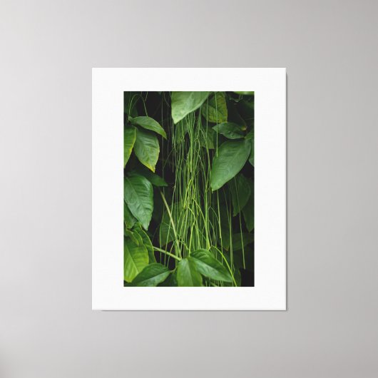 Suspended Nature キャンバスプリント (正面)