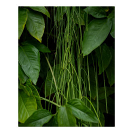 Suspended Nature ポスター