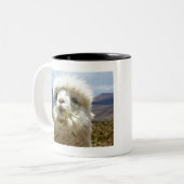 Süsses Alpaca ツートーンマグカップ (正面左)