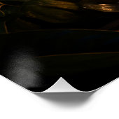 Süßes Leopardenkind ポスター (コーナー)