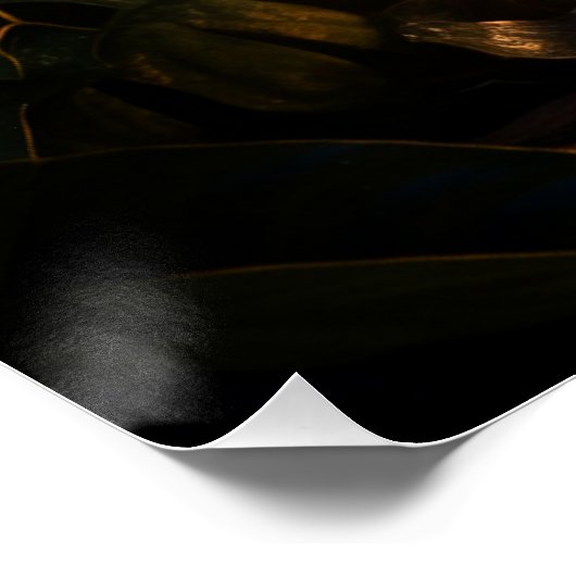 Süßes Leopardenkind ポスター (コーナー)