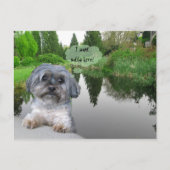 Sutcliffe Park, Vancouver, BCはがき ポストカード (正面)