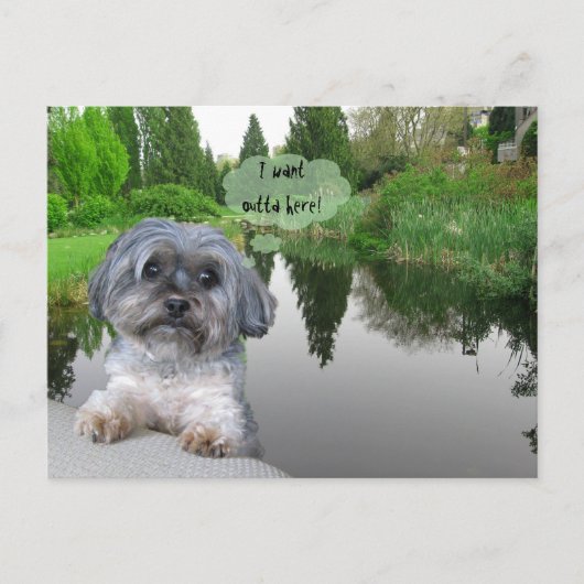 Sutcliffe Park, Vancouver, BCはがき ポストカード (正面)