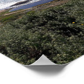 Sutro Bath写真提供：アフセック・ノベル ポスター (角)