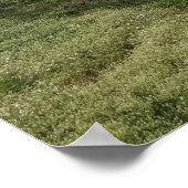 Sutro Bath ポスター (角)