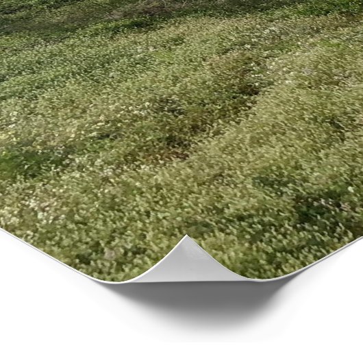 Sutro Bath ポスター (角)