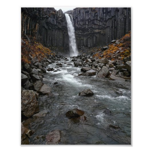 Svartifoss watervall in Iceland写真プリント フォトプリント (正面)