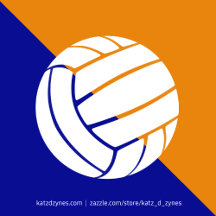 blue and orange volleyball team colors