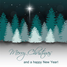 Winter Night with Star of Bethlehem