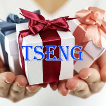 Tseng_Name T-Shirt