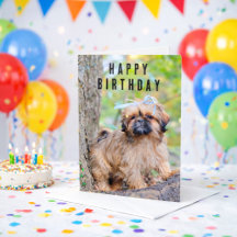Shihtzu Dog Lover Gifts 
