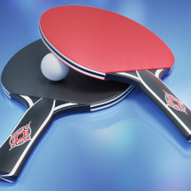 SPORTS TABLE TENNIS